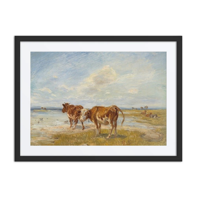 Cows on the Beach