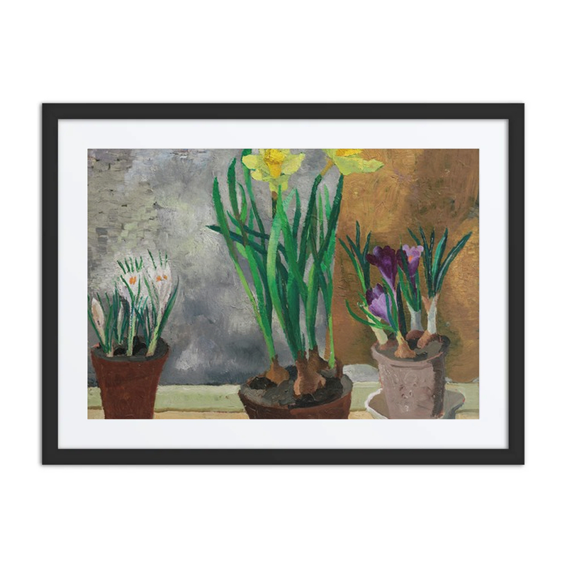 Crocuses and Daffodils in Pots