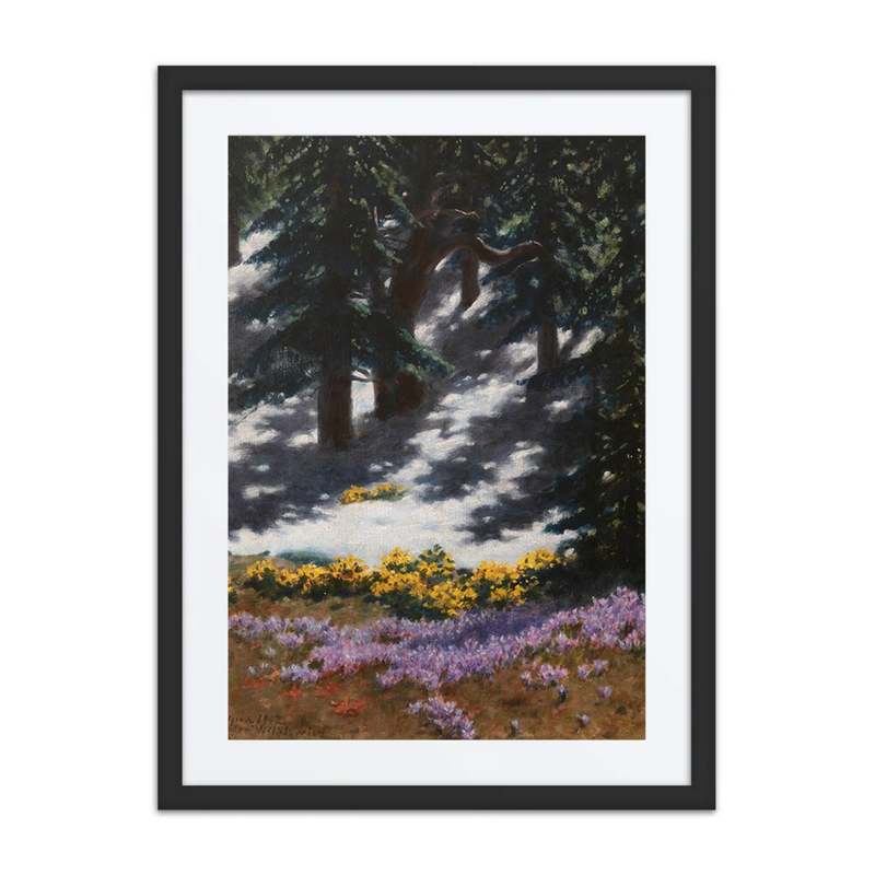 Crocuses and Marsh-Marigolds
