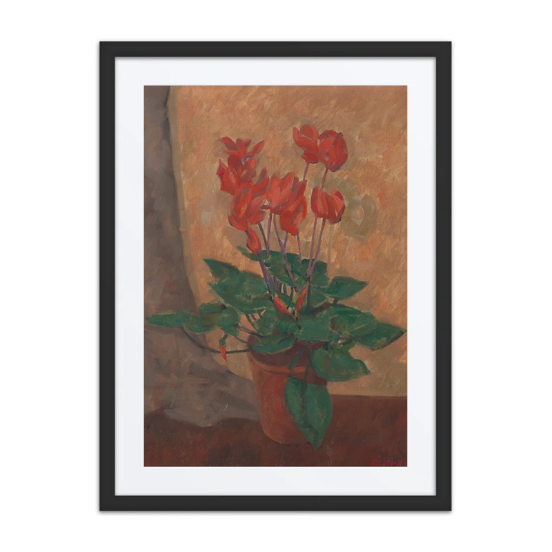 Cyclamen