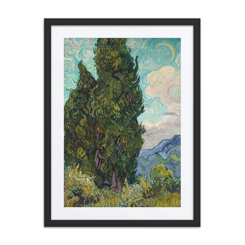 Cypresses