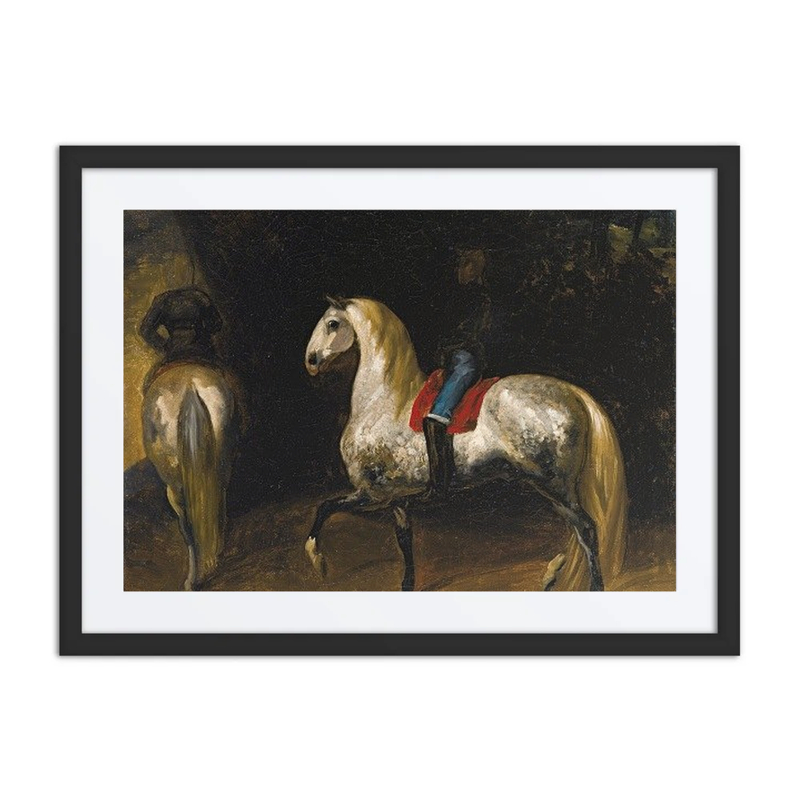 Dappled Grey Horses