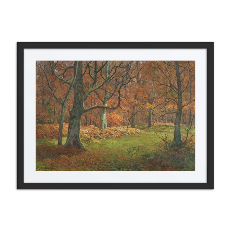 Das Innere Eines Waldes