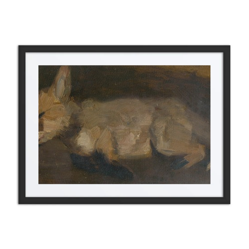 Dead Fox