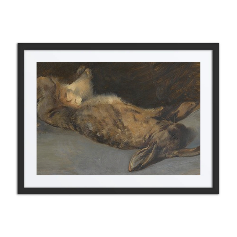 Dead Hare Lying on Its Back