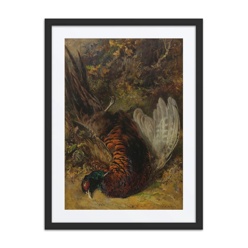Dead Pheasant