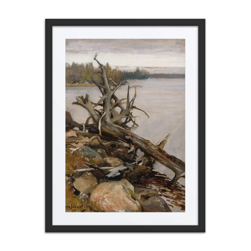 Dead Pine in the Water