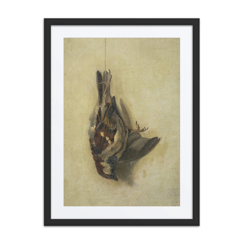 Dead Sparrow on a String