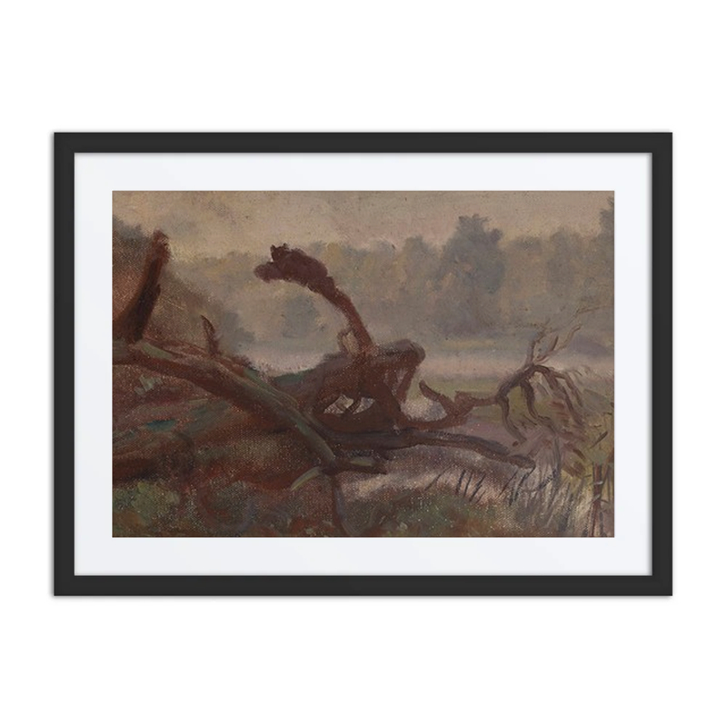 Deep Forest – Windthrows