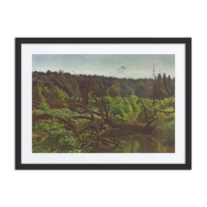 Deep Forest – Windthrows