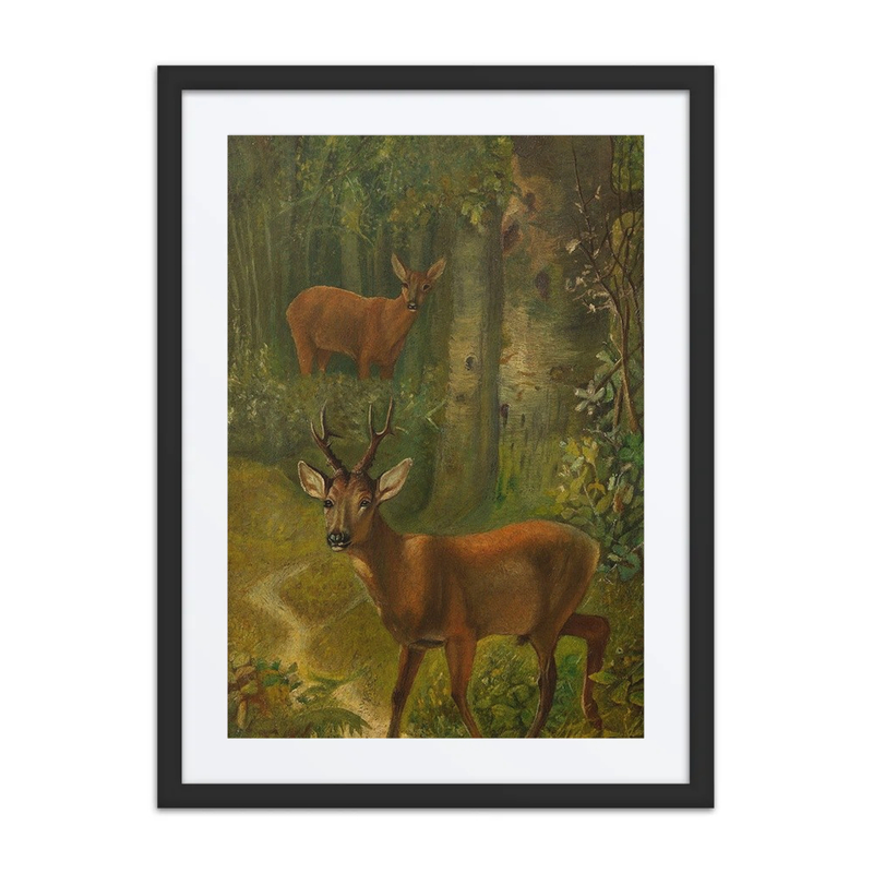Deer at the Forest Edge