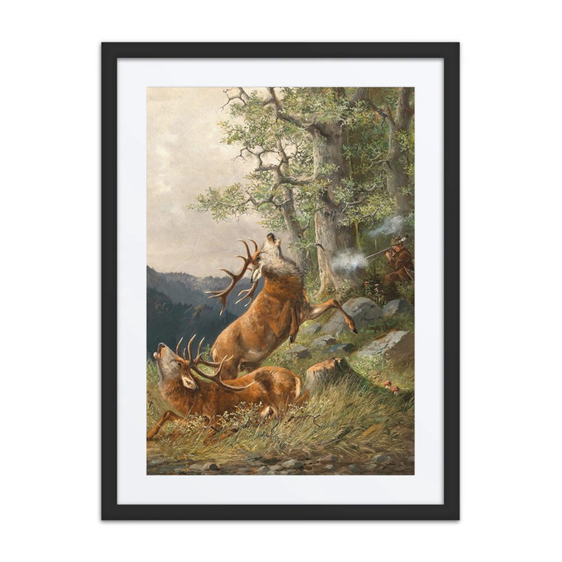 Deer Hunting