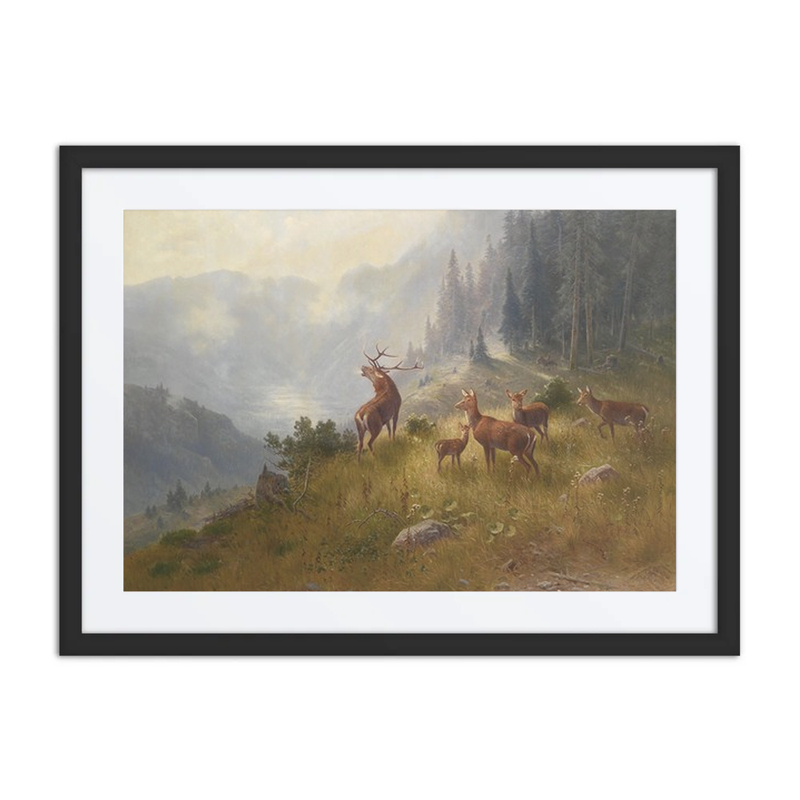 Deer in the High Mountains