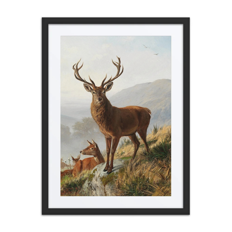 Der Kapitale Hirsch (the Capital Stag)