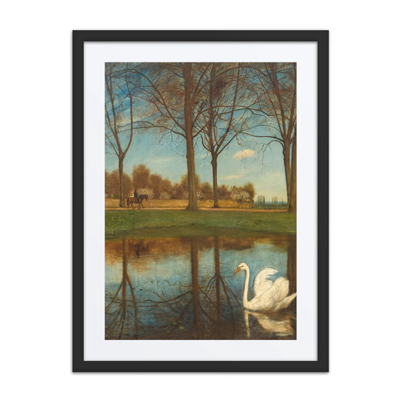 Der Schwan