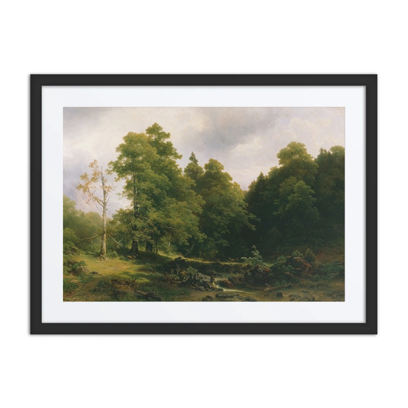 Der Stille Waldwinkel