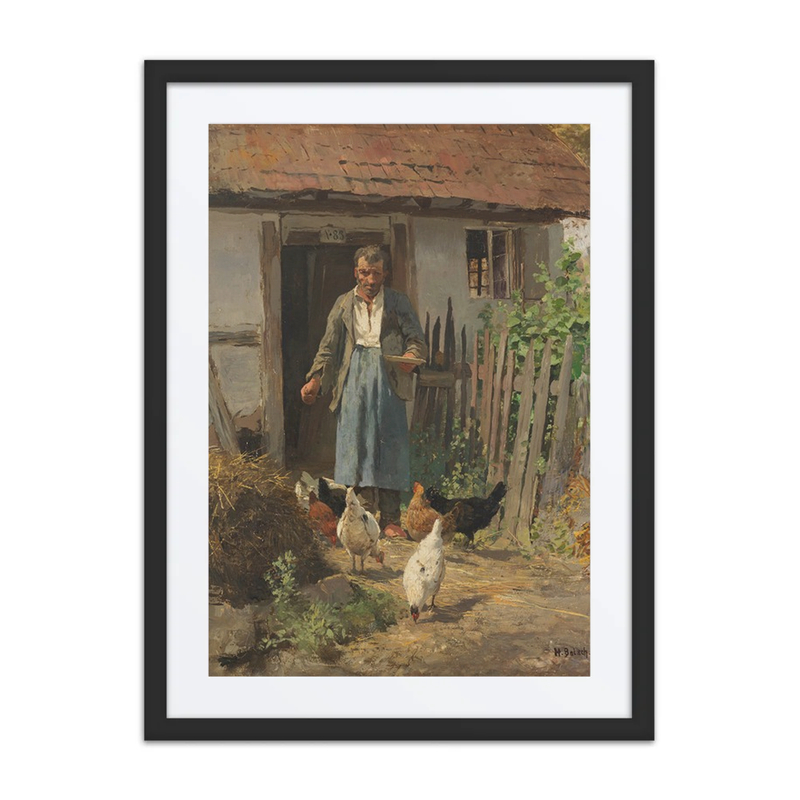 Die Fütterung Der Hühner