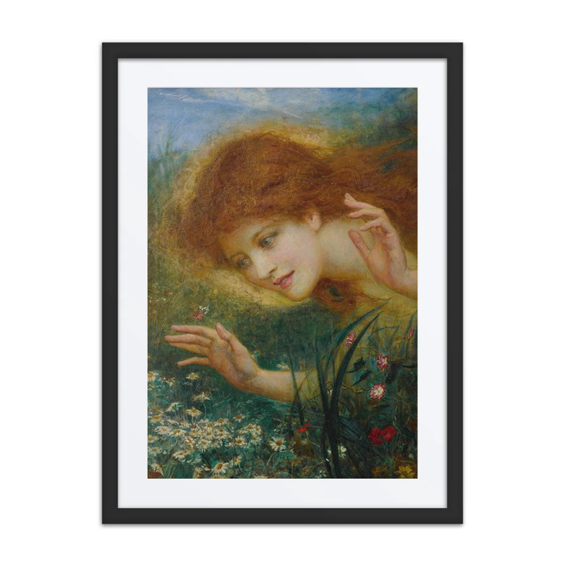Discovering Daisies