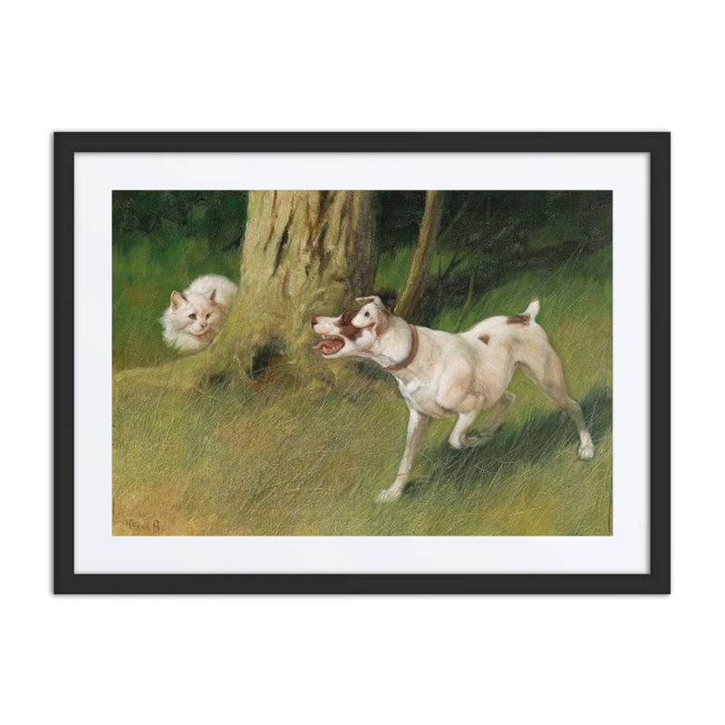 Dog and Cat