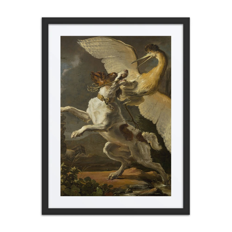 Dog Fighting a Heron