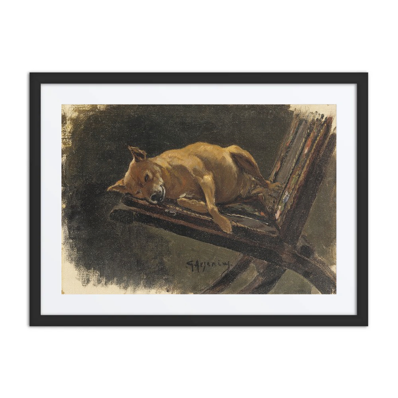 Dog Lying Down