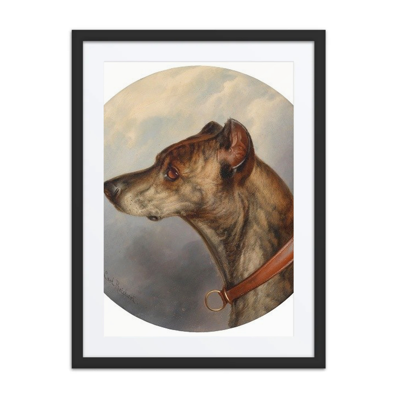 Dog Portrait
