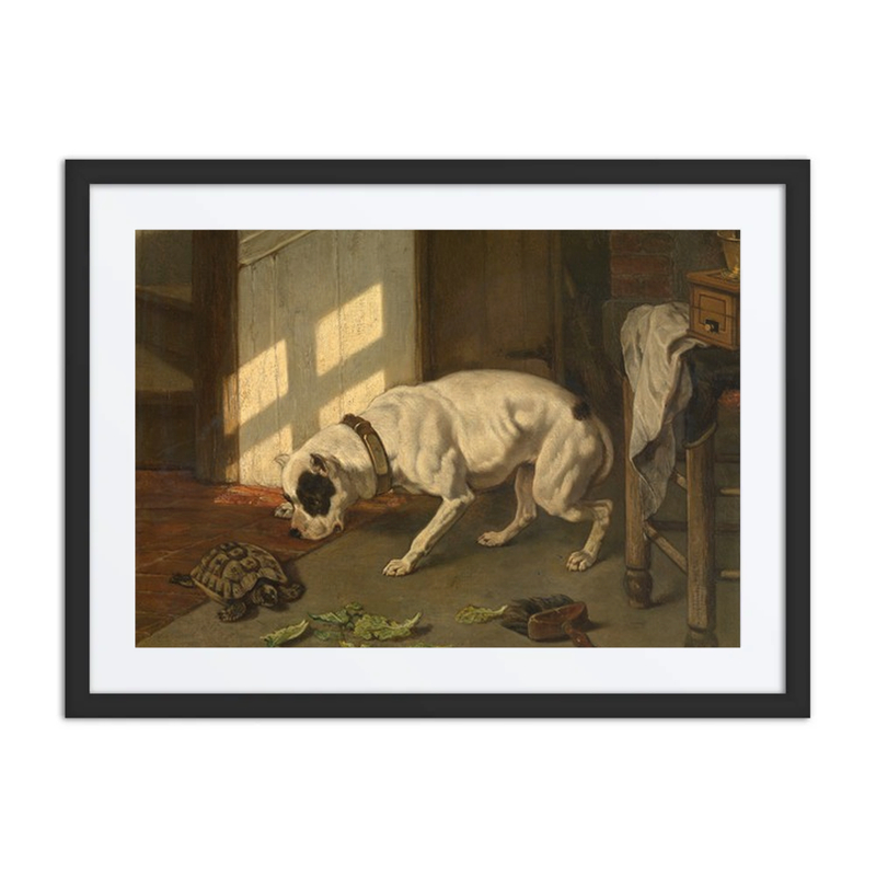 Dog with Tortoise