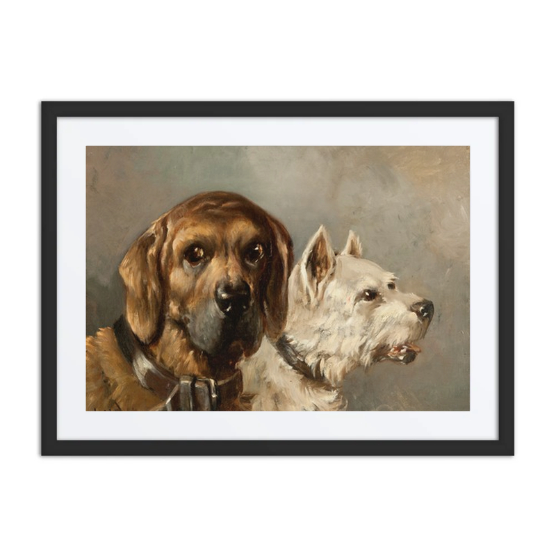 Dogs