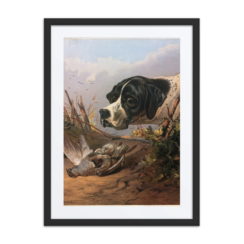 Dog’s Head
