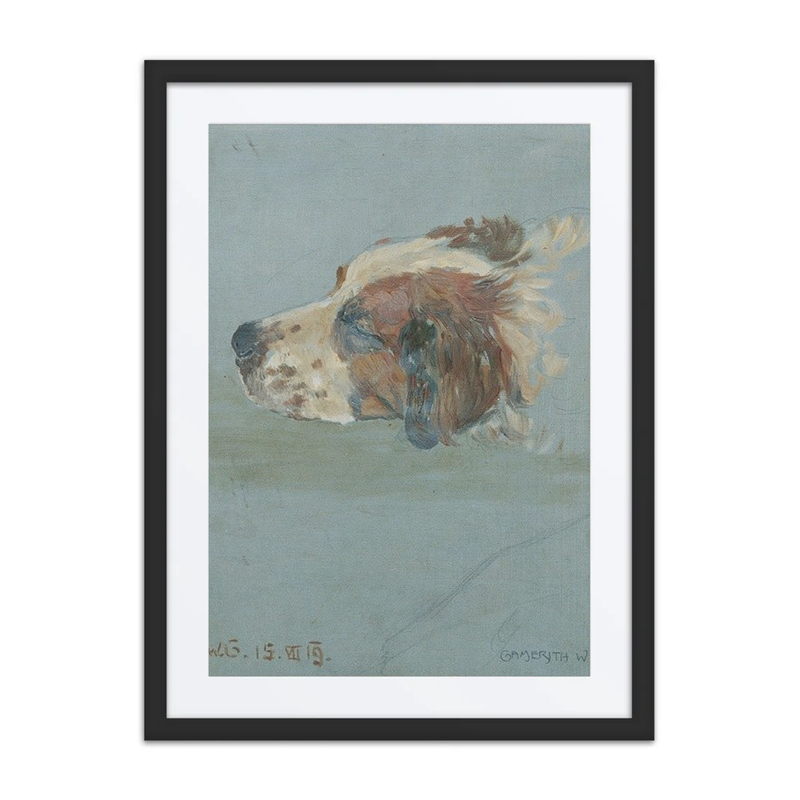 Dog’s Head