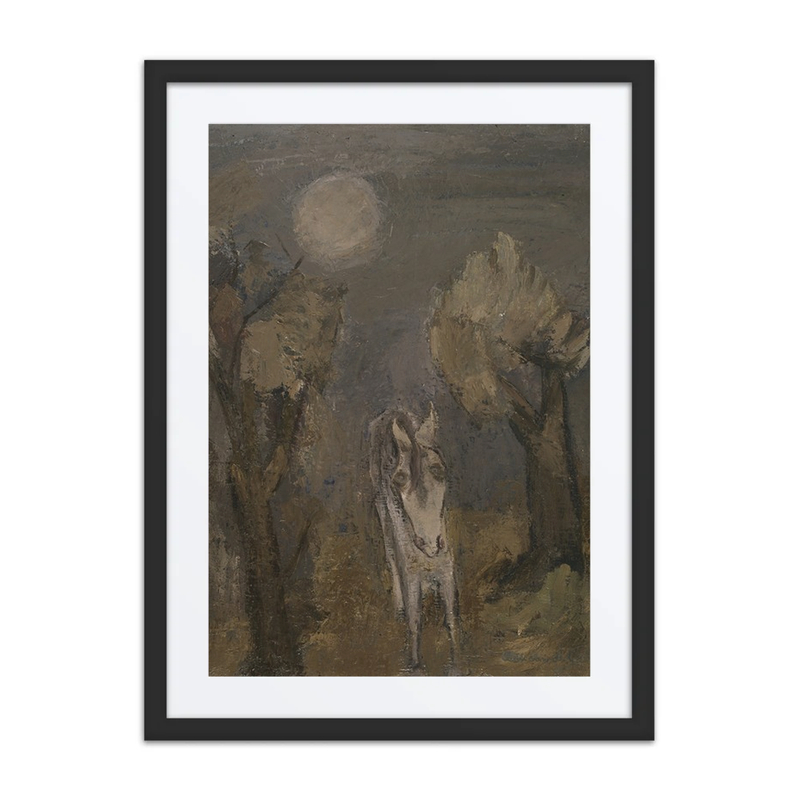 Donkey by Moonlight