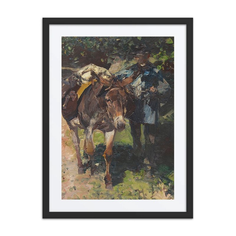 Donkey with Driver