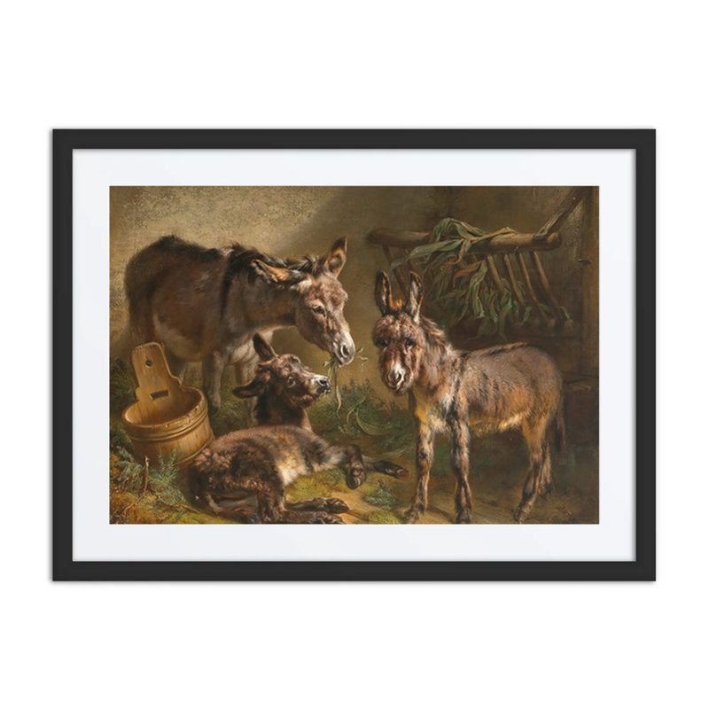 Donkeys in a Stable