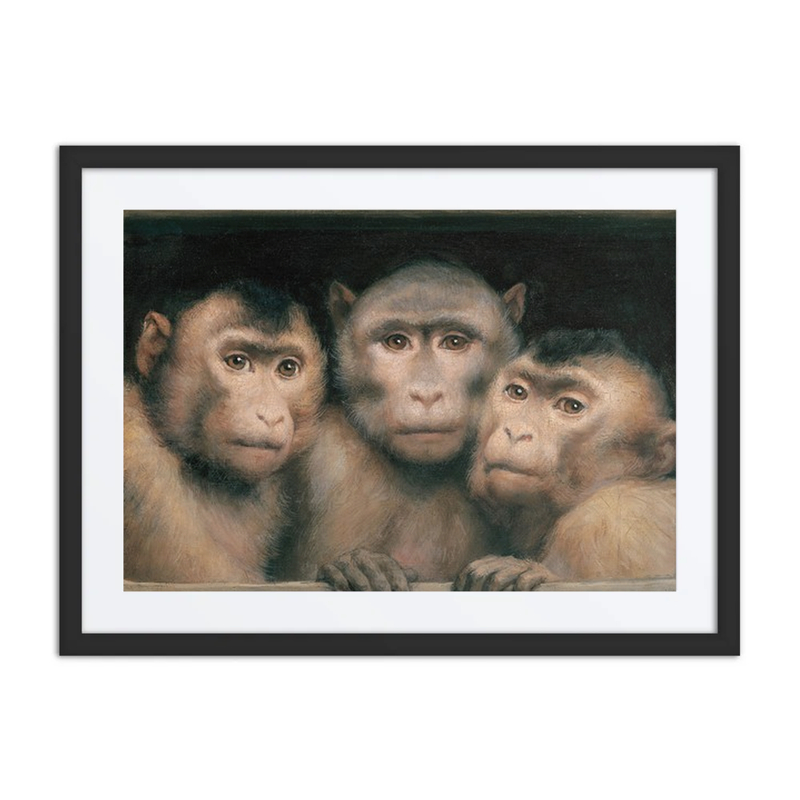 Drei Affen (Three Monkeys)