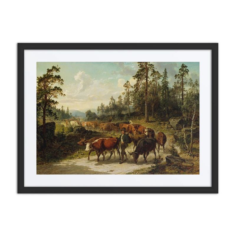 Driving Cattle in Småland