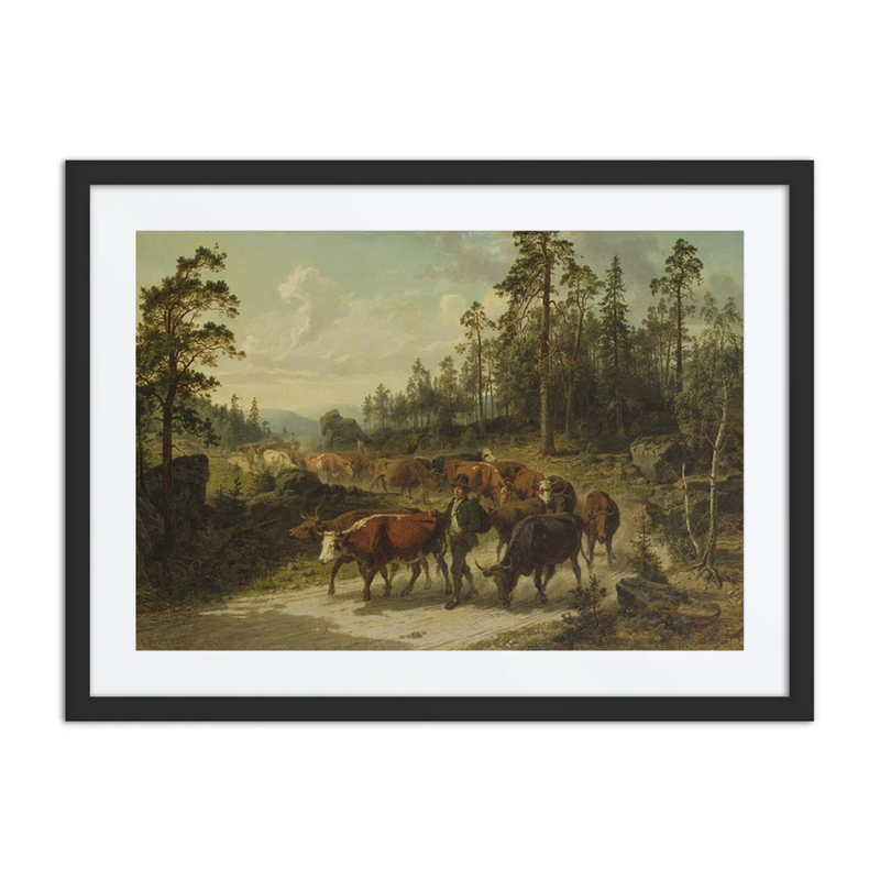 Driving Cattle in Småland