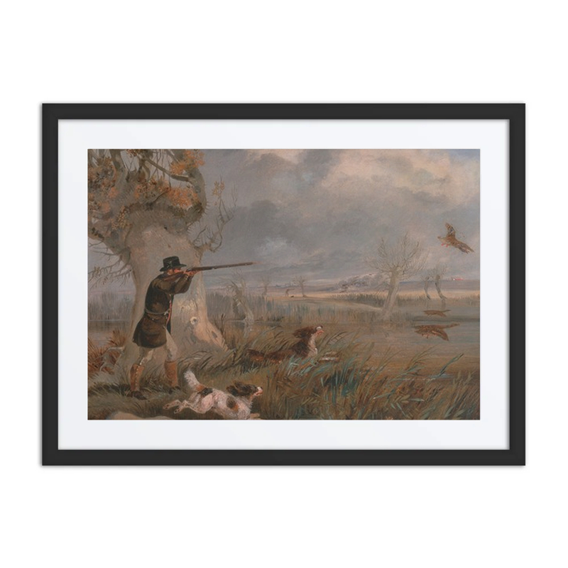 Duck Shooting