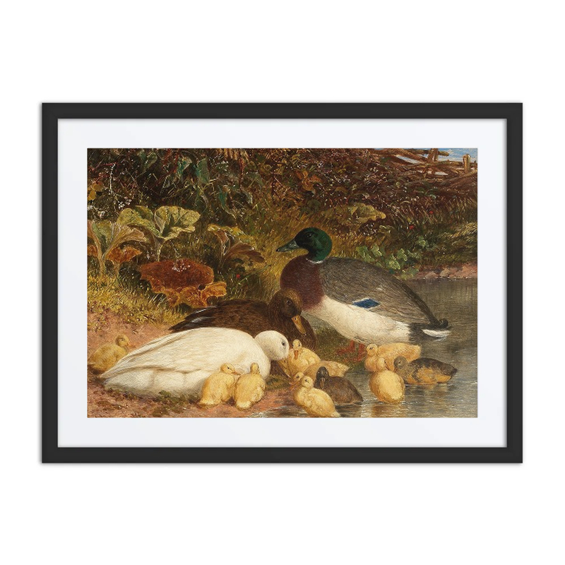 Ducks and Ducklings by a Pond