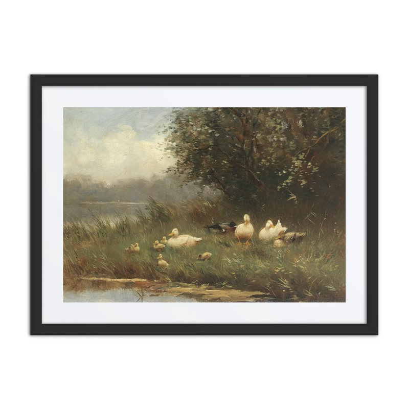 Ducks and Ducklings by the Waterside
