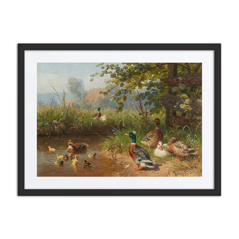 Ducks by a Pond