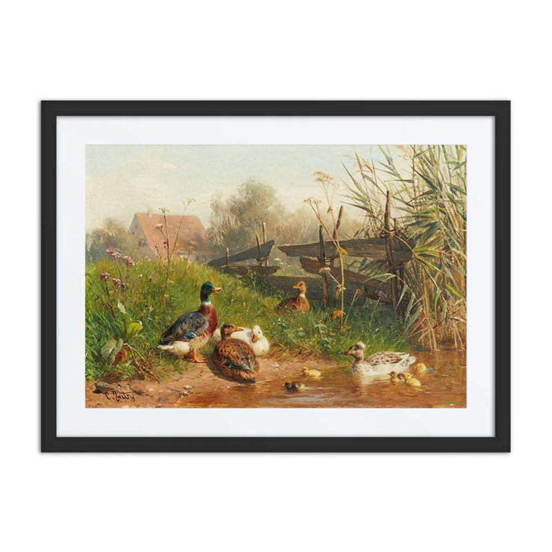 Ducks by the Pond