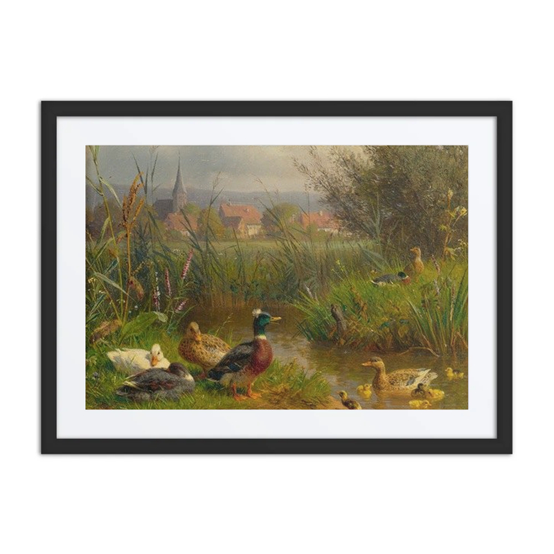 Ducks by the Pond