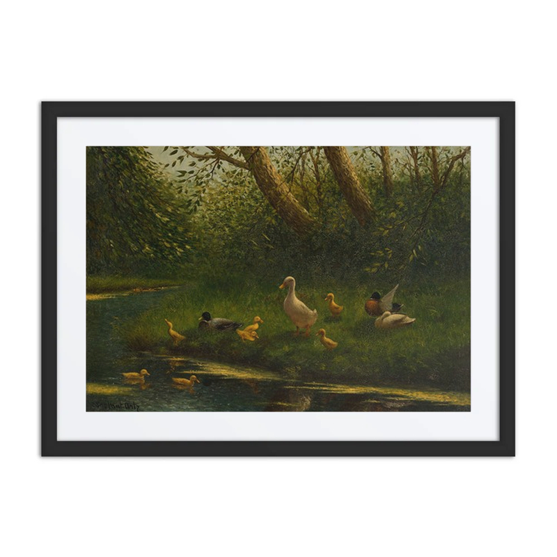 Ducks by the Pond
