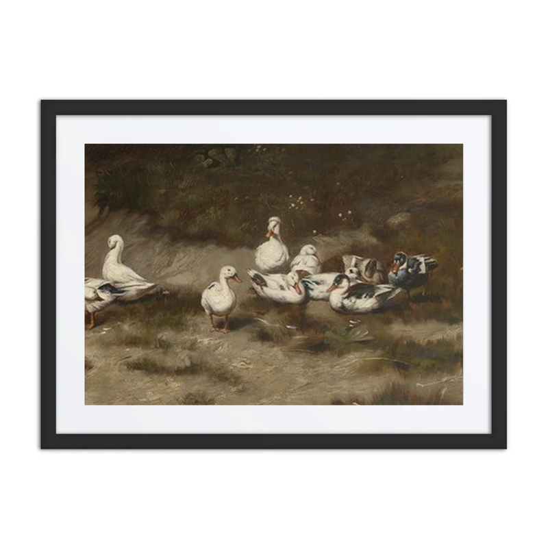 Ducks by the Stream