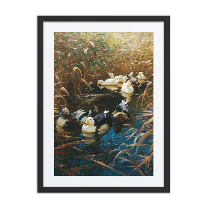 Ducks in Autumn Reeds