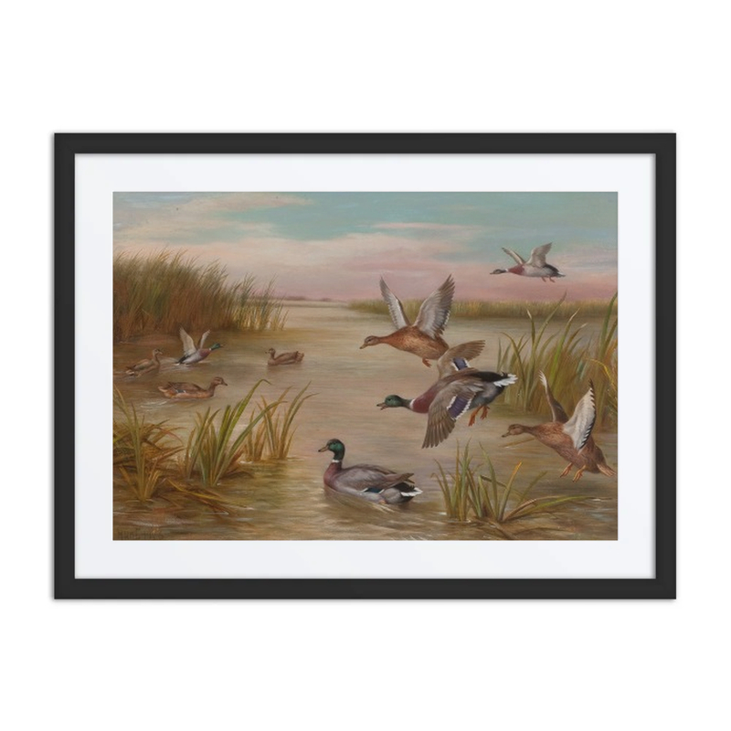 Ducks in Flight