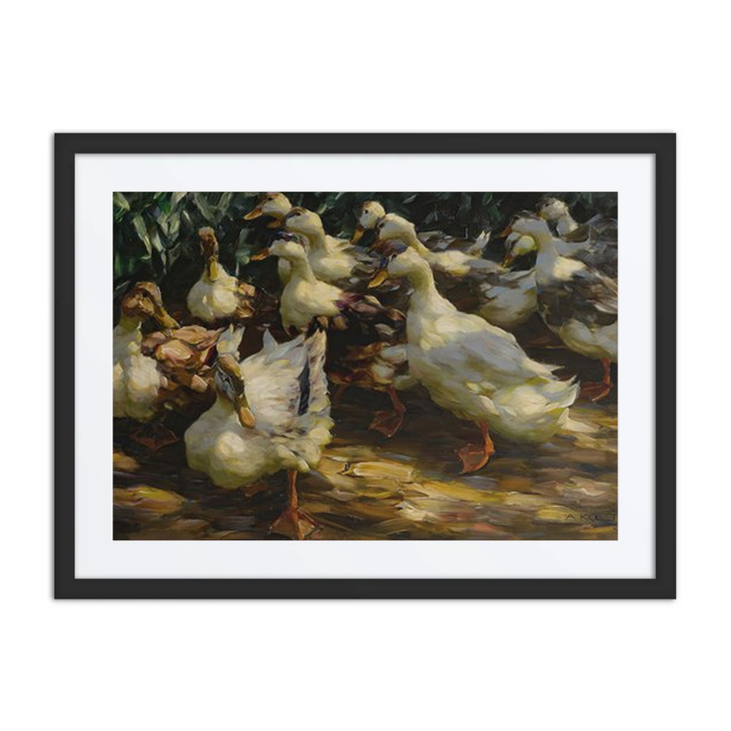 Ducks in Sunlight