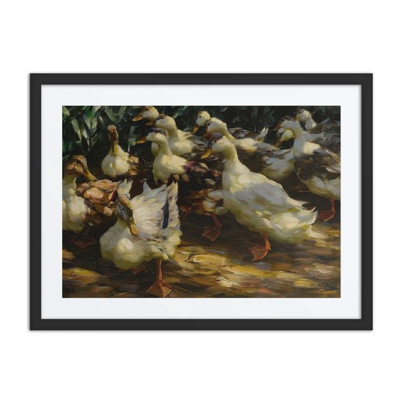 Ducks in Sunlight