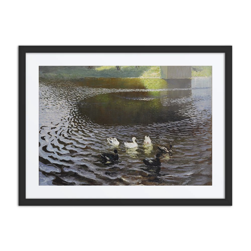 Ducks
