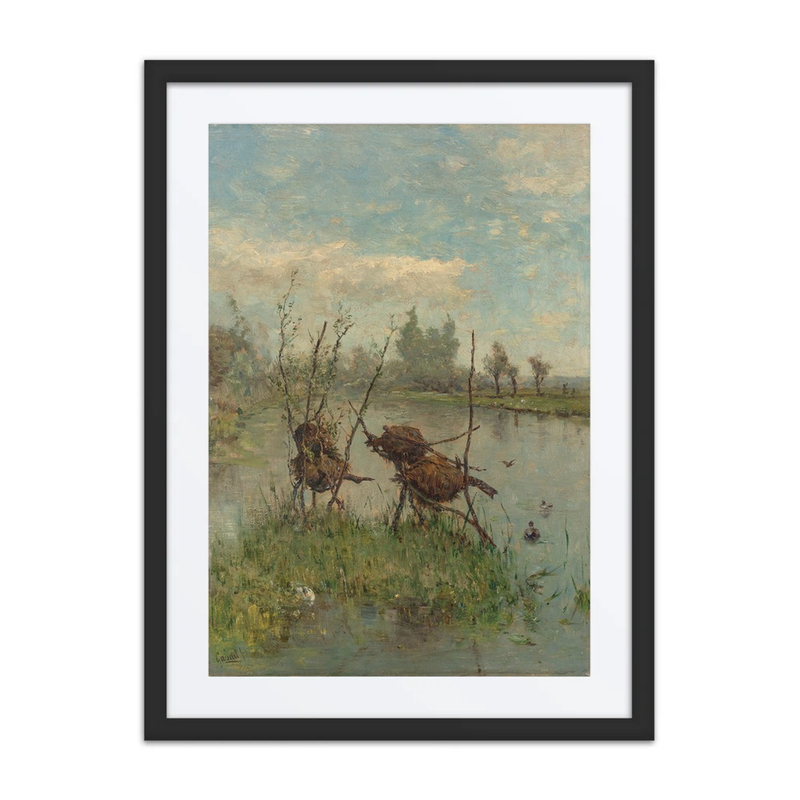 Ducks’ Nests